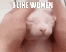 Women Heterosexual GIF - Women Heterosexual Meme GIFs