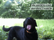 a black dog is standing in a field with the words the world is cruel therefore i won t be