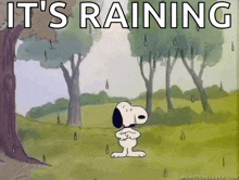 a cartoon of snoopy standing in a field with the words it 's raining