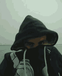 a man wearing a black hoodie with a mask on his face is looking at the camera .