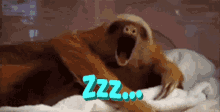 Gäähn Sloth GIF - Gäähn Sloth Sleepy GIFs