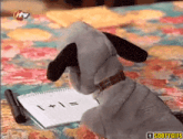 a stuffed dog is doing a math problem on a notebook