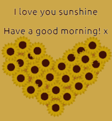 Have A Good Morning Ollie I Love You Sunshine GIF - Have A Good Morning Ollie I Love You Sunshine Good Morning Ollie GIFs
