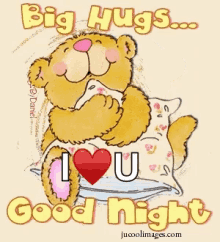 good night i love you ily hug