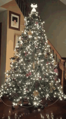 Christmas Tree Lights GIF - Christmas Tree Lights Christmas GIFs