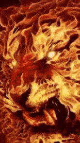 a close up of a tiger 's face surrounded by fire .