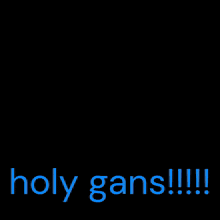 Gans Holy Gans GIF - Gans Holy Gans Cat GIFs