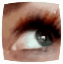 Eye Blink GIF - Eye Blink Eyelash GIFs