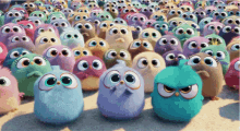 Angry The Angry Birds Movie GIF - Angry The Angry Birds Movie Cute GIFs