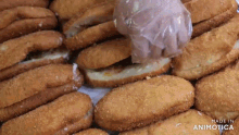 a bunch of fried donuts are sitting on a table and the words made in animatica are on the bottom right