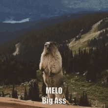 Meloba Melo Amar Melo Big Ass GIF - Meloba Melo Amar Melo Big Ass Hey GIFs