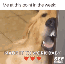So Tired Tired GIF - So Tired Tired Work Sucks GIFs