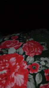 a blanket with red and white roses on it