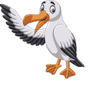 Albatros GIF - Albatros GIFs