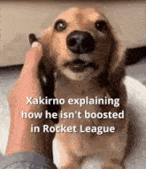 Boosted Xakirno GIF - Boosted Xakirno Rocket League GIFs