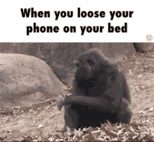 Phone Lost GIF