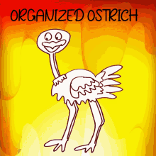 Organized Ostrich Veefriends GIF