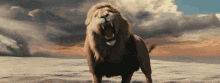 Savage Lion GIF - Savage Lion Simba GIFs