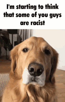 Im Starting To Think That Some Of You Guys Are Racist Youre Racist GIF - Im Starting To Think That Some Of You Guys Are Racist Youre Racist Racist GIFs