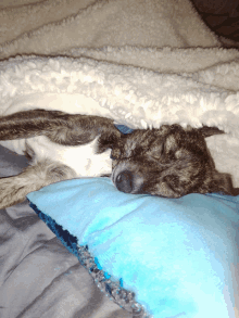 MRW my dog sits on my lap and starts sleeping - GIF - Imgur