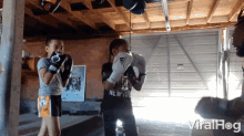 Boxing Training GIF - Boxing Training Punching GIFs