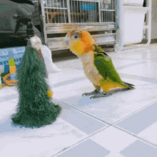 Parrots Funny GIF