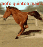 Quinton Quinton Main GIF - Quinton Quinton Main Quinton Mains GIFs