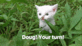 Doug Cat GIF - Doug Cat Root GIFs