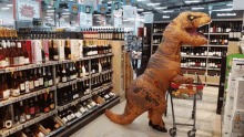 lucylovescats dinosaur wine time shopping tgif