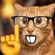 a cat wearing glasses and a smiley face is pointing up with its finger .