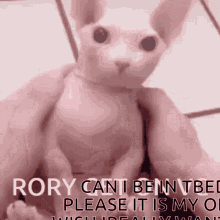 rory tbed rory tbed rukir
