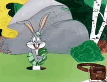 Rabbit Bunny GIF - Rabbit Bunny Cash GIFs