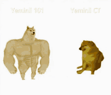 Yeminli101 GIF - Yeminli101 GIFs