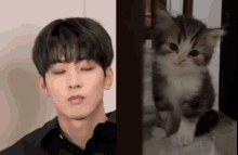 Wonwoo Wonwoo Seventeen GIF - Wonwoo Wonwoo Seventeen Wonwoo Cat GIFs