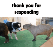 Thank You For Responding GIF