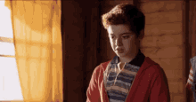 a young boy wearing a red hoodie and a striped shirt is standing in front of a window in a room .