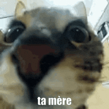 Ta Mere Your Mother GIF