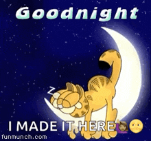 Goodnight Garfield GIF - Goodnight Garfield Moon GIFs