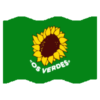 a green flag with a yellow sunflower and the words os verdes