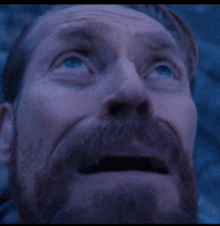 a man with a beard and blue eyes looks up at something