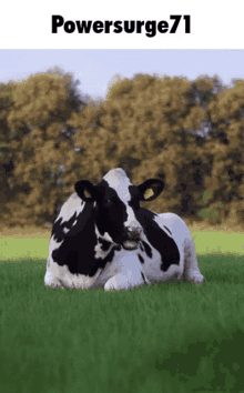 Power Surge71 Stands Online GIF - Power Surge71 Stands Online Cow GIFs