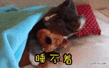 a cat is sleeping under a blanket with a teddy bear in its paws