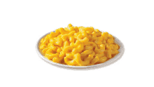 macaroni n