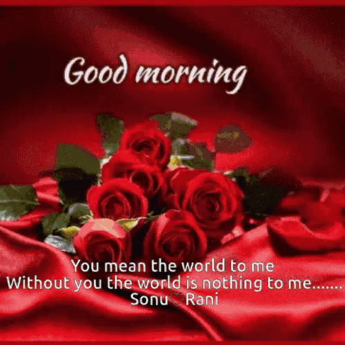 Good Morning Rose GIF - Good Morning Rose Flowers - Discover & Share GIFs