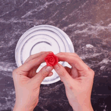 a person is holding a red rose in their hands