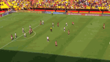 Conmebol Libertadores GIF