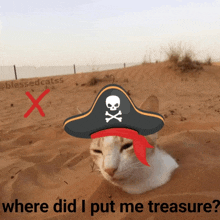 a cat wearing a pirate hat is buried in the sand with the words " where did i put me treasure " below it