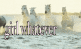 a picture of a herd of horses with the words girl whatever below it