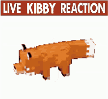Kibby Reaction GIF - Kibby Reaction Live Reaction GIFs
