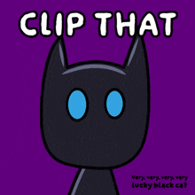 clip that very very very very lucky black cat with blue eyes